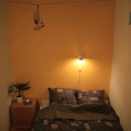 Hostel Amazing *